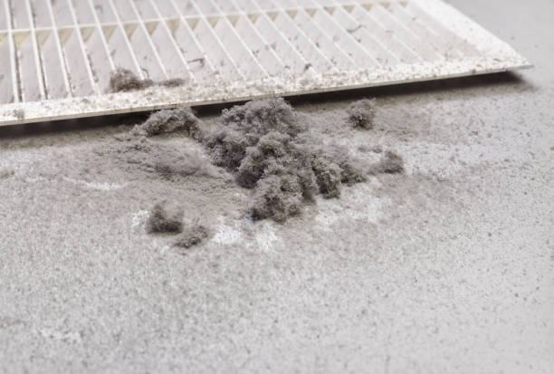 Best Air Vent Cleaning Services  in Interlachen, FL